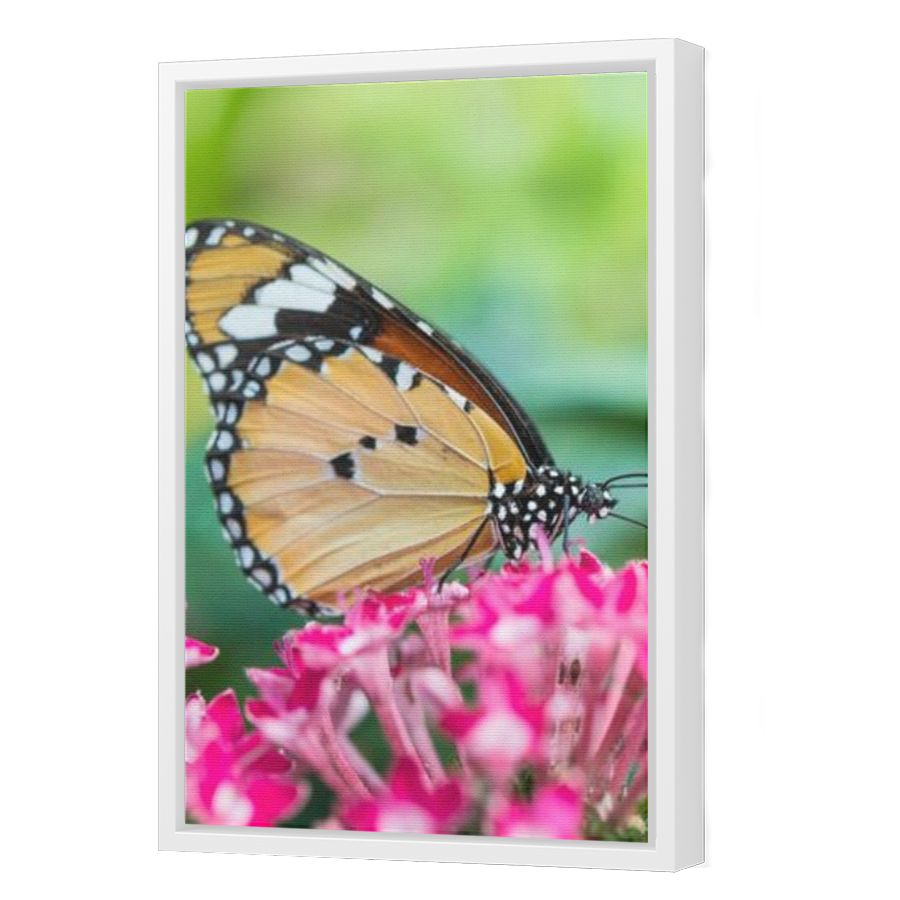 Thumbnail for Canvas - White Floating Frame