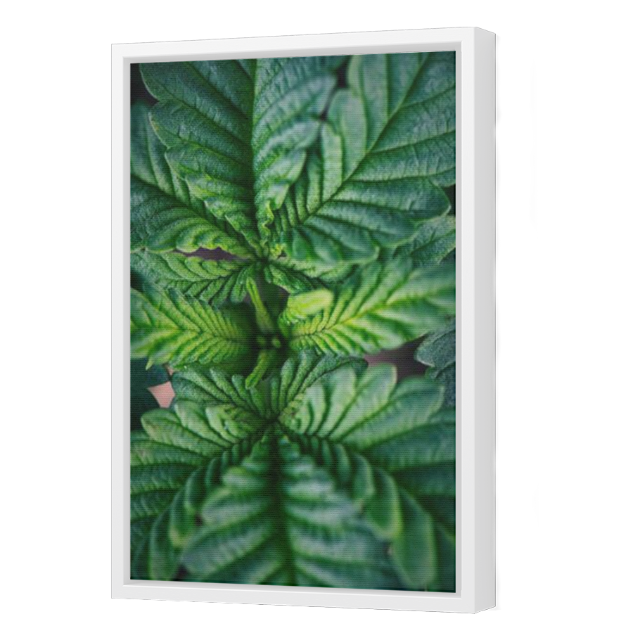 Thumbnail for Canvas - White Floating Frame