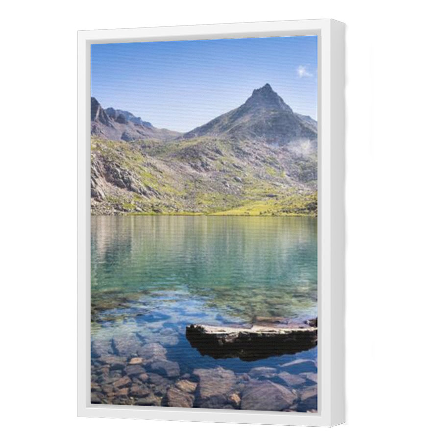 Thumbnail for Canvas - White Floating Frame