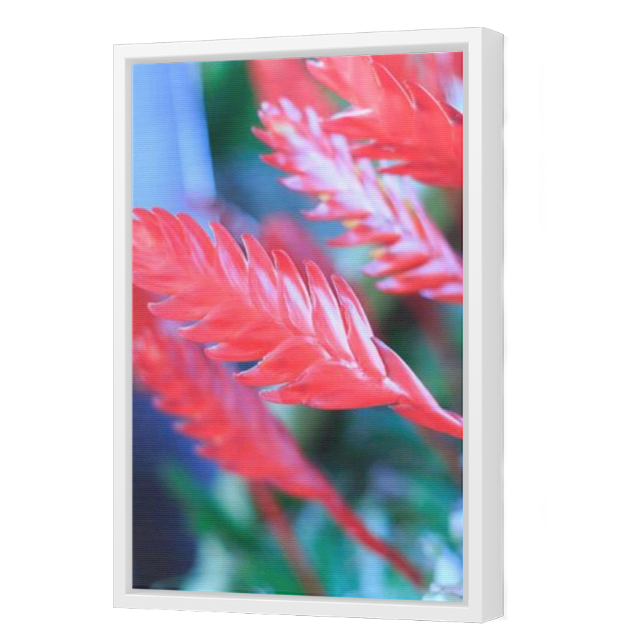 Thumbnail for Canvas - White Floating Frame