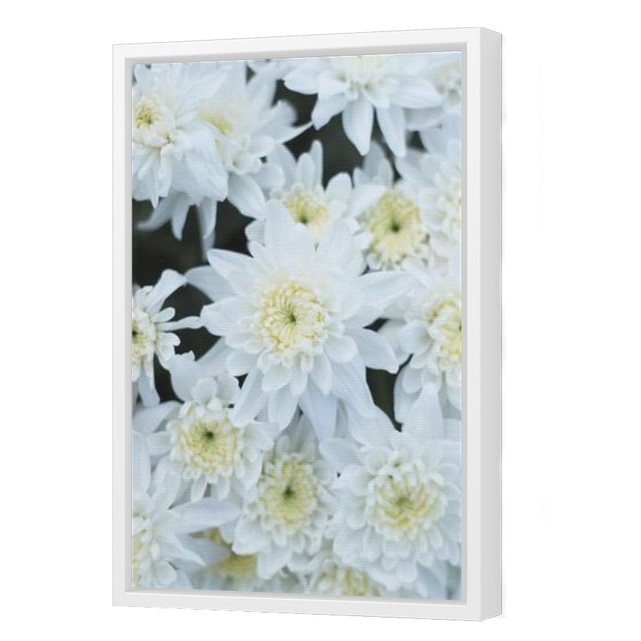 Thumbnail for Canvas - White Floating Frame