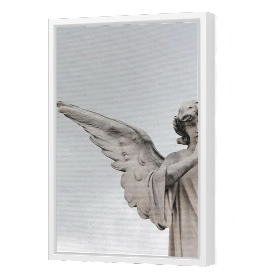 Thumbnail for Canvas - White Floating Frame
