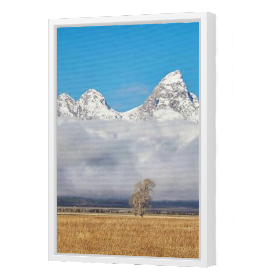 Thumbnail for Canvas - White Floating Frame
