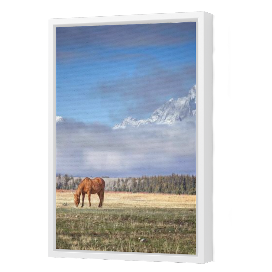 Thumbnail for Canvas - White Floating Frame