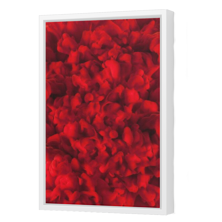 Thumbnail for Canvas - White Floating Frame