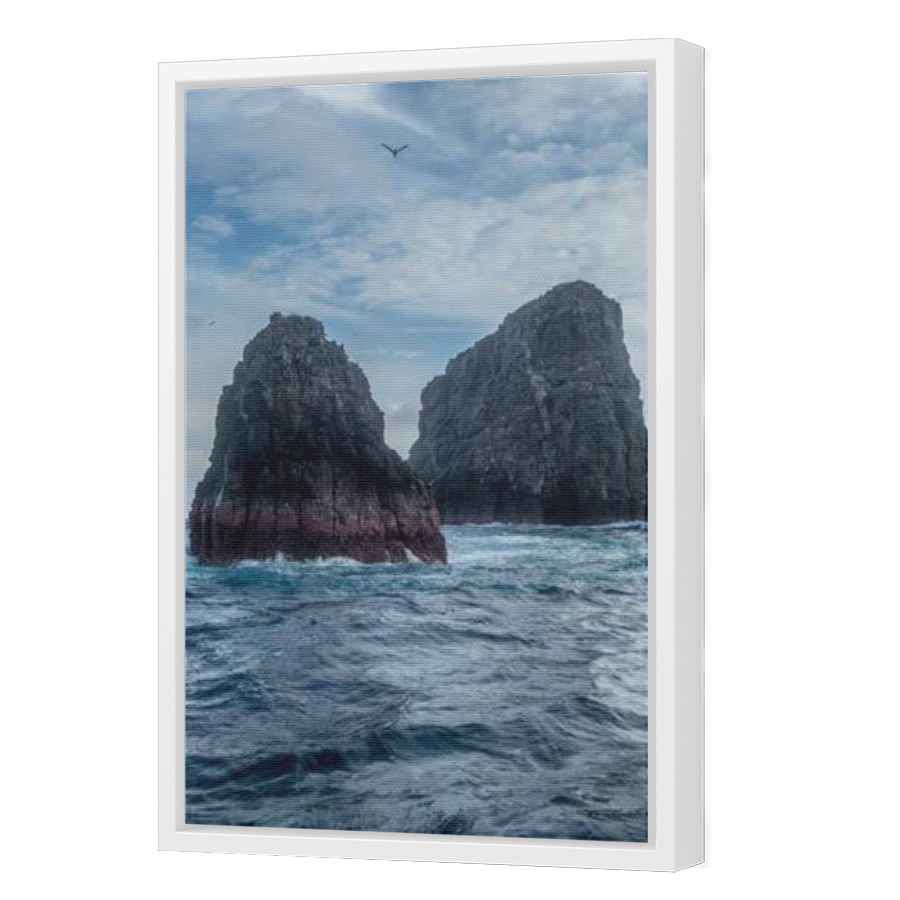 Thumbnail for Canvas - White Floating Frame