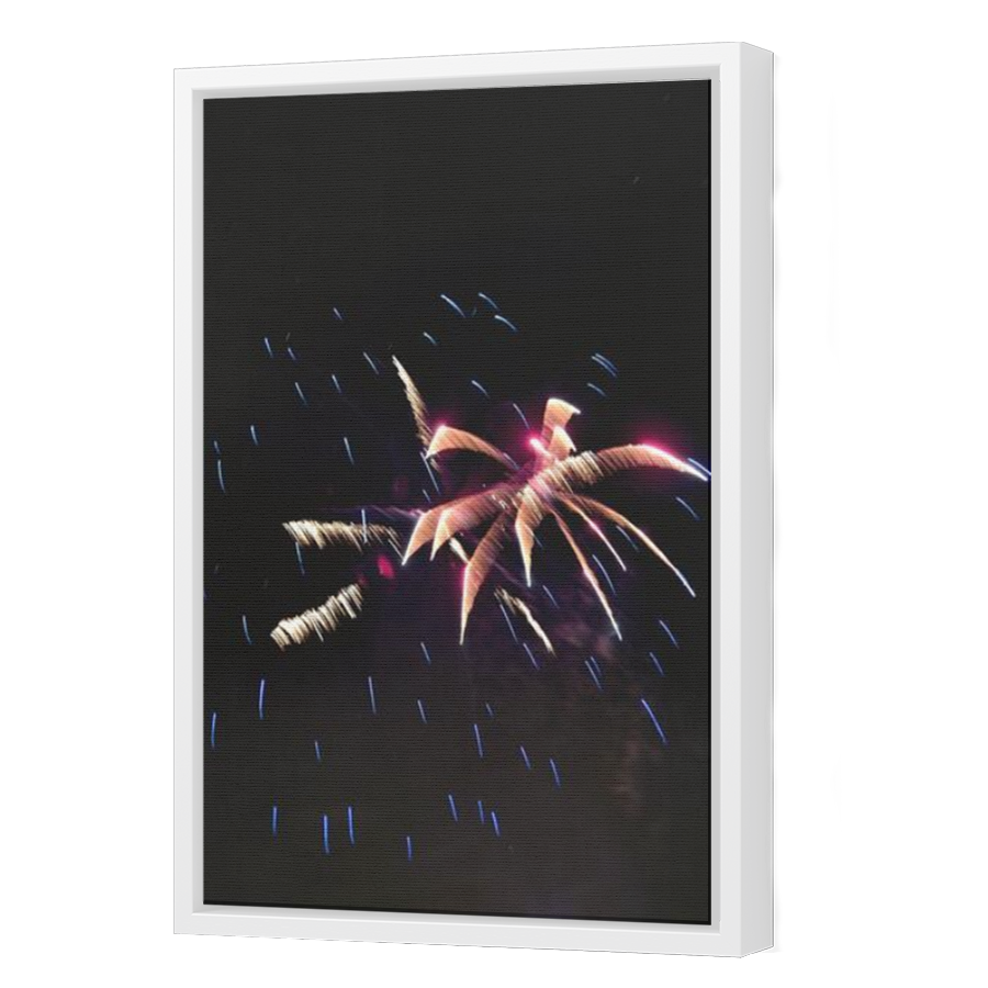 Thumbnail for Canvas - White Floating Frame
