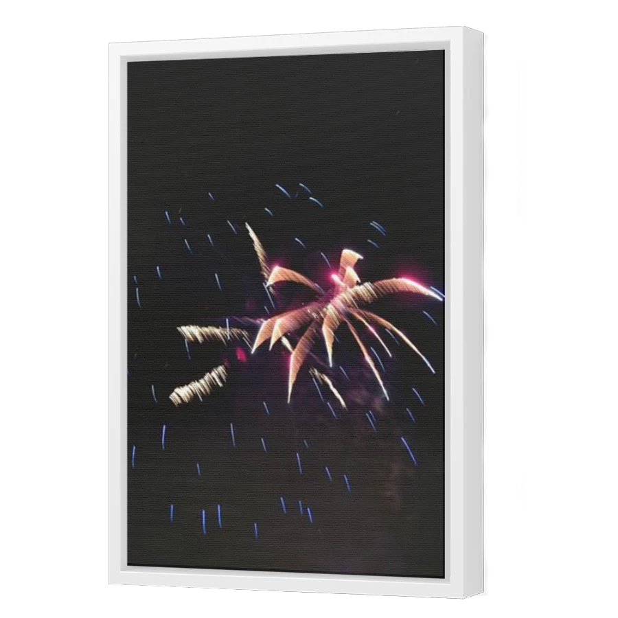Thumbnail for Canvas - White Floating Frame