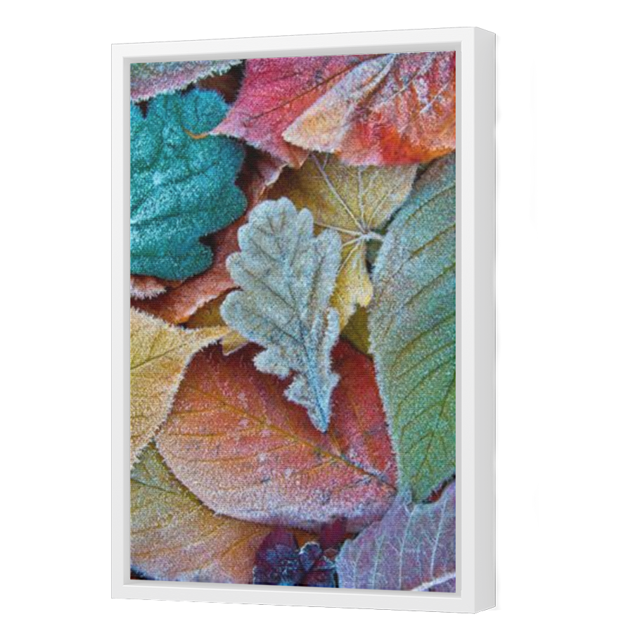 Thumbnail for Canvas - White Floating Frame