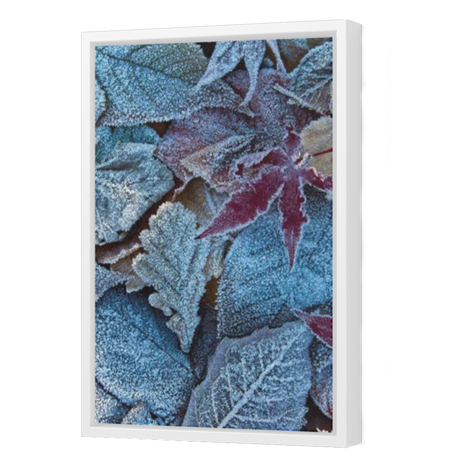 Thumbnail for Canvas - White Floating Frame