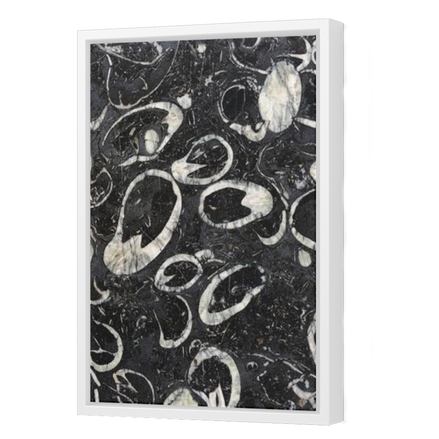 Thumbnail for Canvas - White Floating Frame
