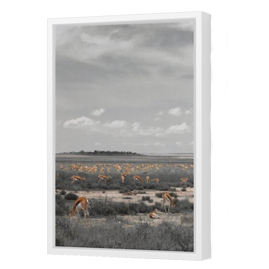 Thumbnail for Canvas - White Floating Frame