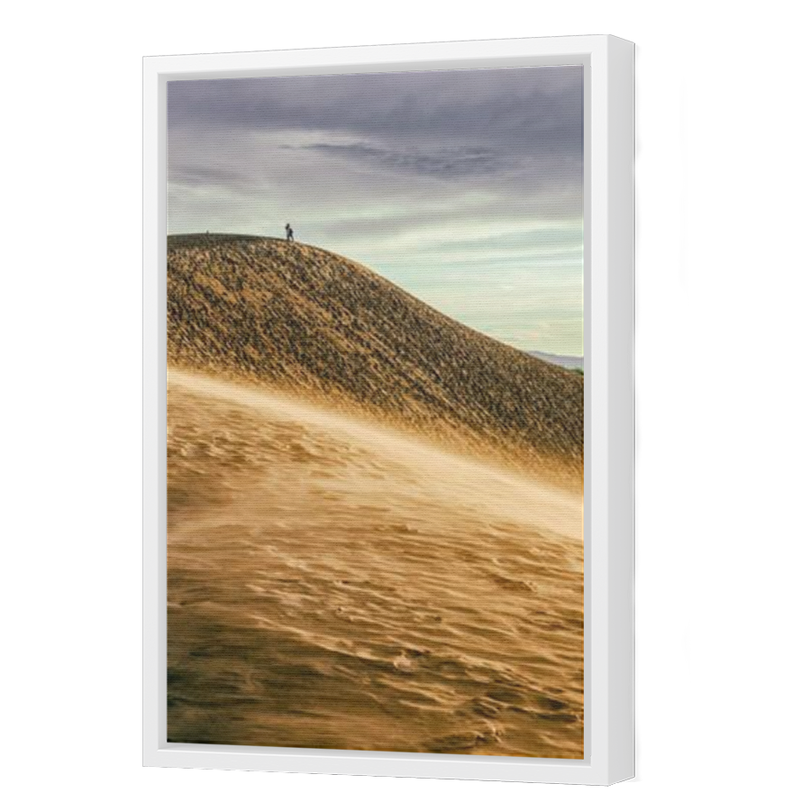 Thumbnail for Canvas - White Floating Frame