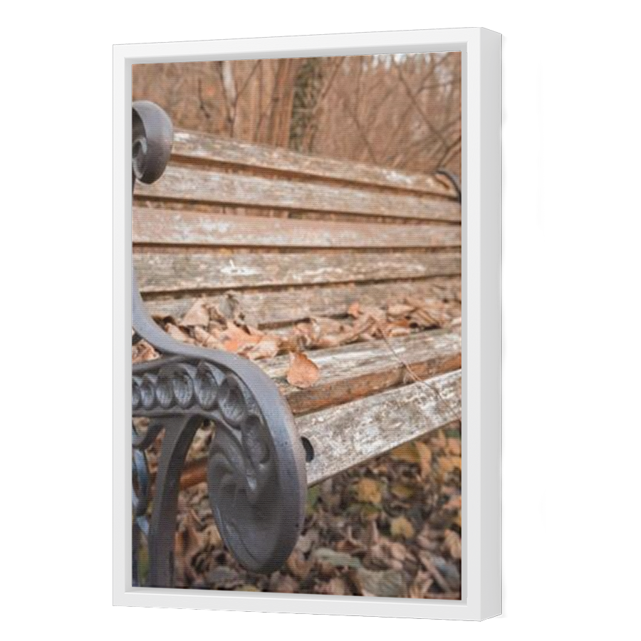 Thumbnail for Canvas - White Floating Frame