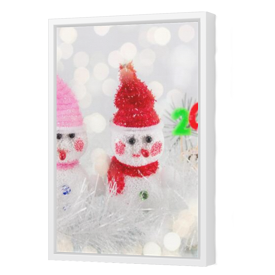 Thumbnail for Canvas - White Floating Frame