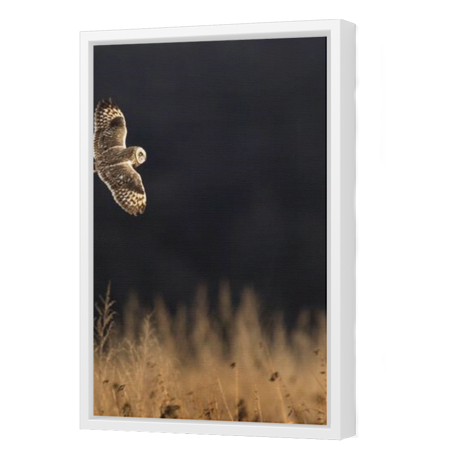 Thumbnail for Canvas - White Floating Frame