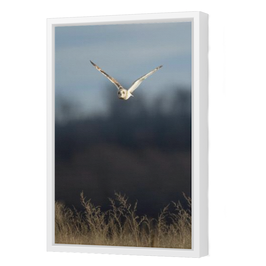 Thumbnail for Canvas - White Floating Frame