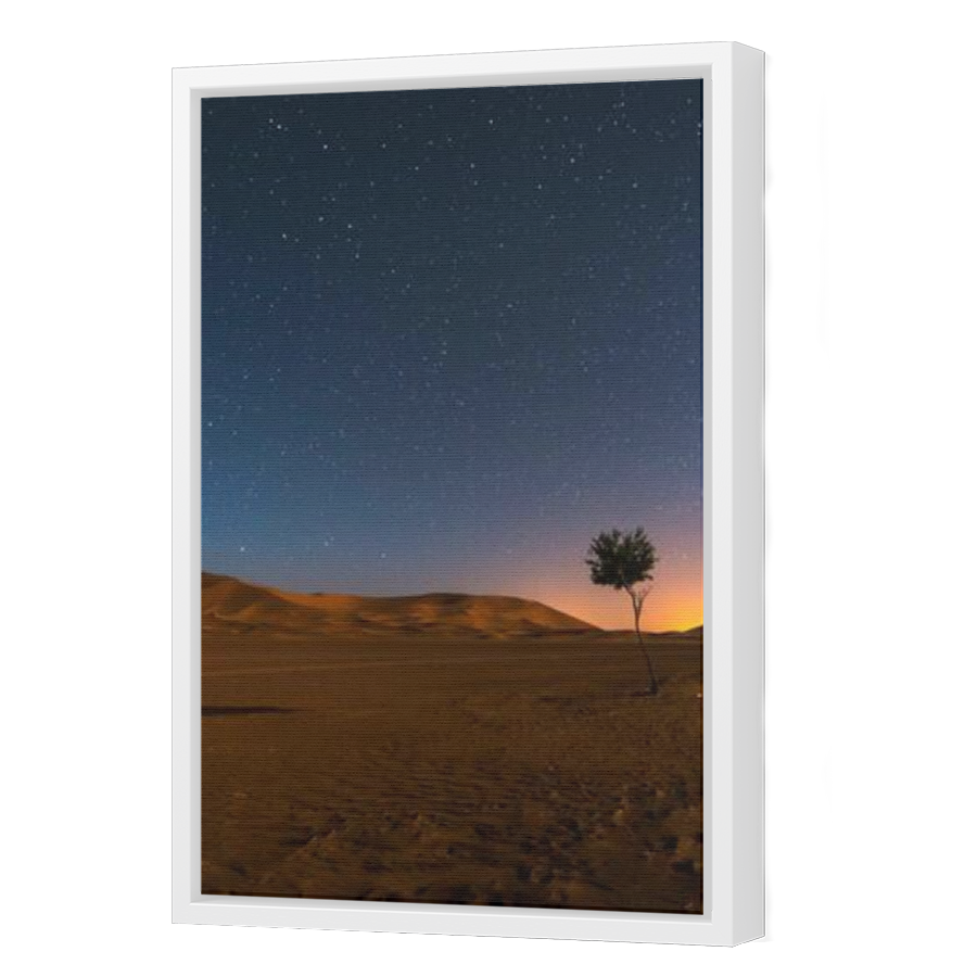 Thumbnail for Canvas - White Floating Frame