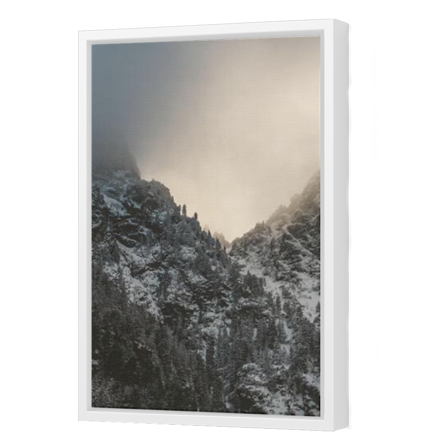 Thumbnail for Canvas - White Floating Frame