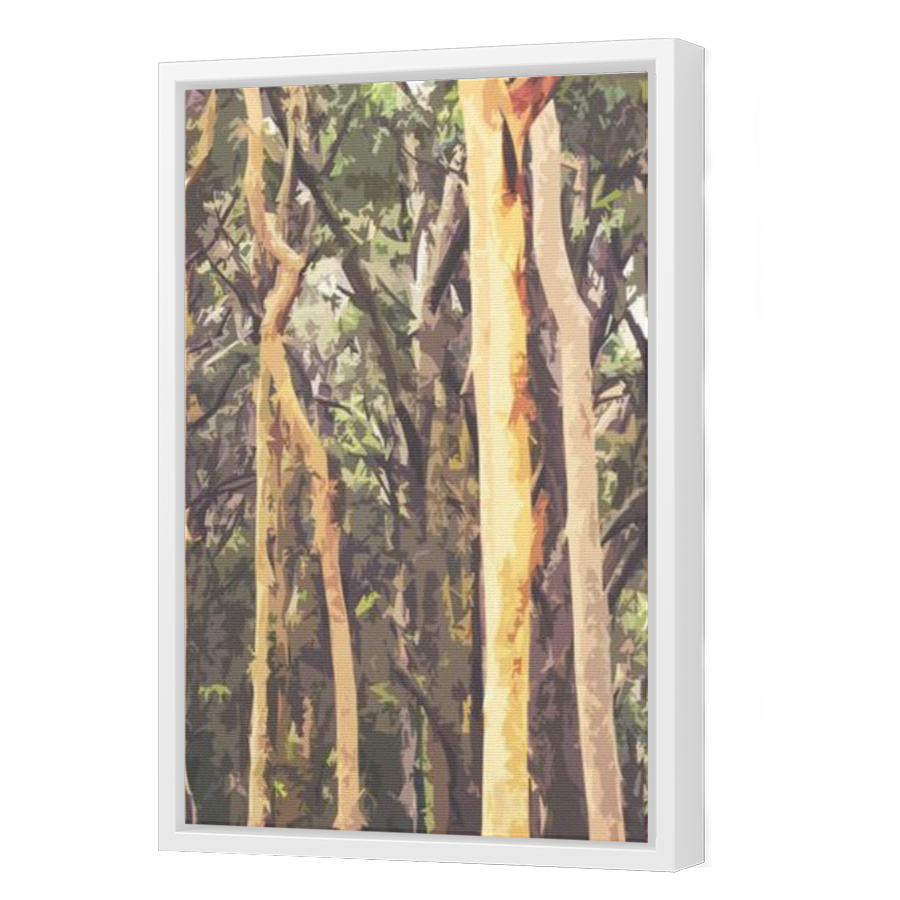 Thumbnail for Canvas - White Floating Frame