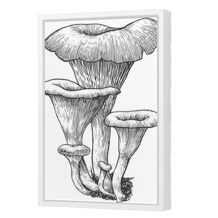 Thumbnail for Canvas - White Floating Frame