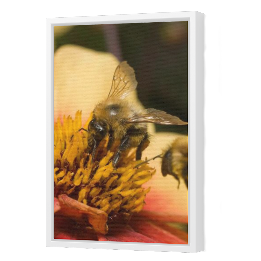 Thumbnail for Canvas - White Floating Frame