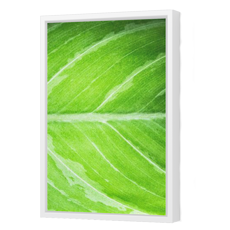 Thumbnail for Canvas - White Floating Frame
