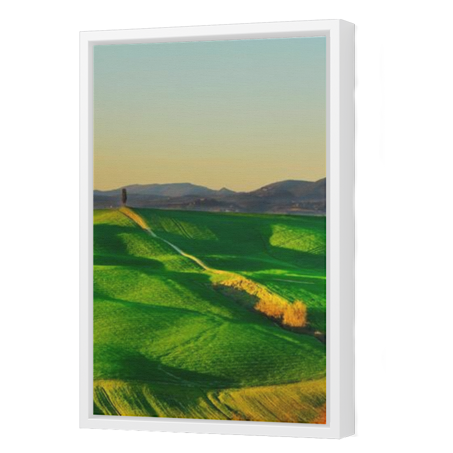 Thumbnail for Canvas - White Floating Frame
