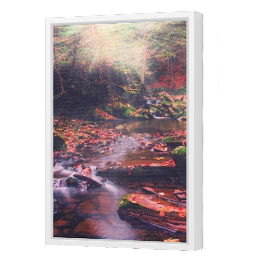 Thumbnail for Canvas - White Floating Frame