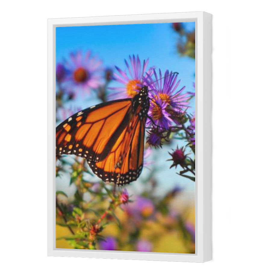 Thumbnail for Canvas - White Floating Frame
