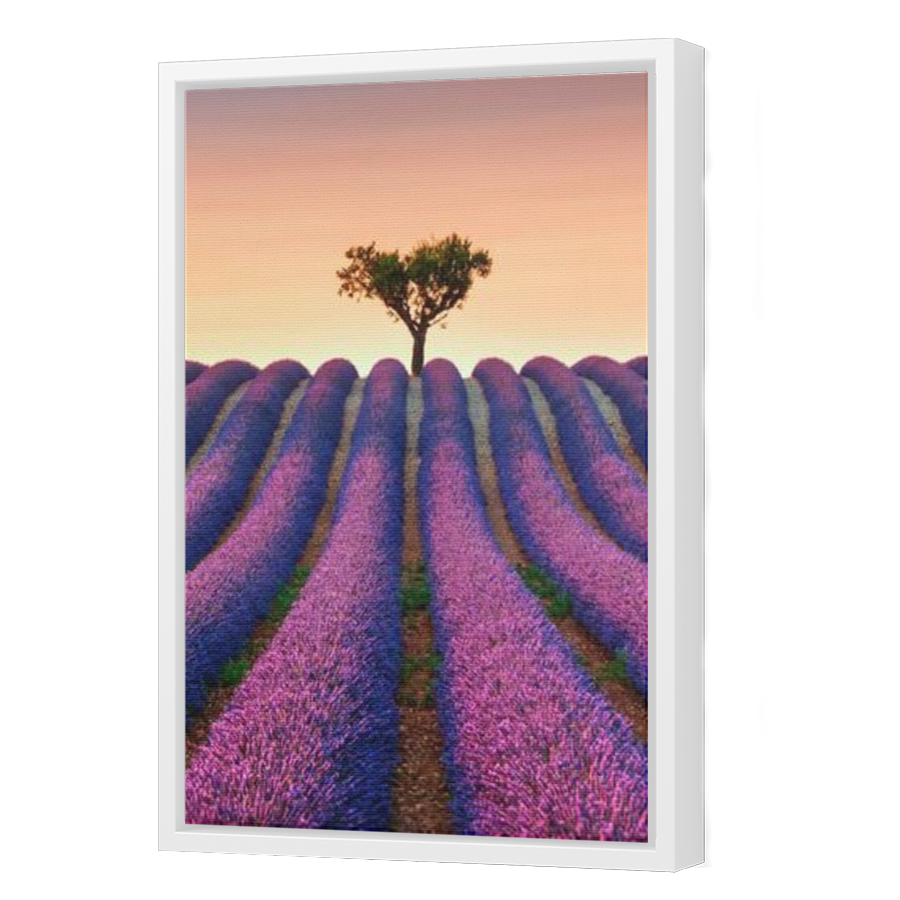 Thumbnail for Canvas - White Floating Frame