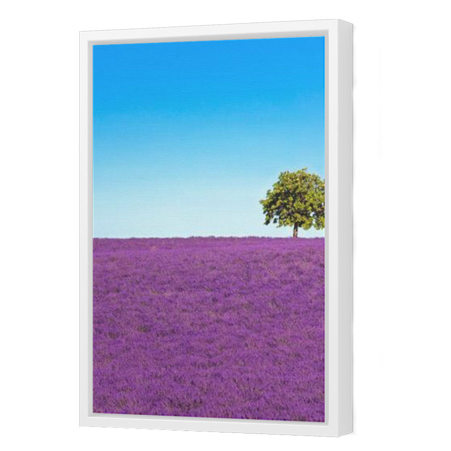 Thumbnail for Canvas - White Floating Frame