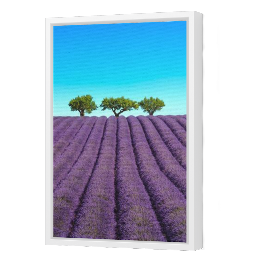 Thumbnail for Canvas - White Floating Frame