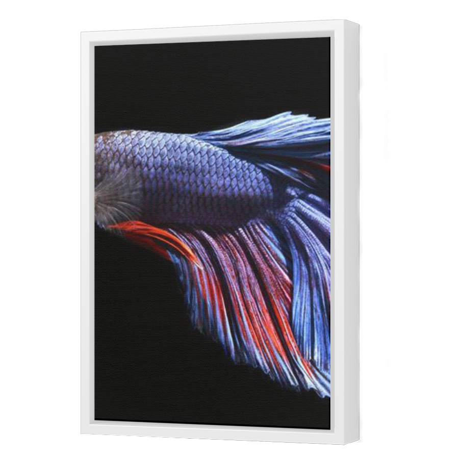 Thumbnail for Canvas - White Floating Frame