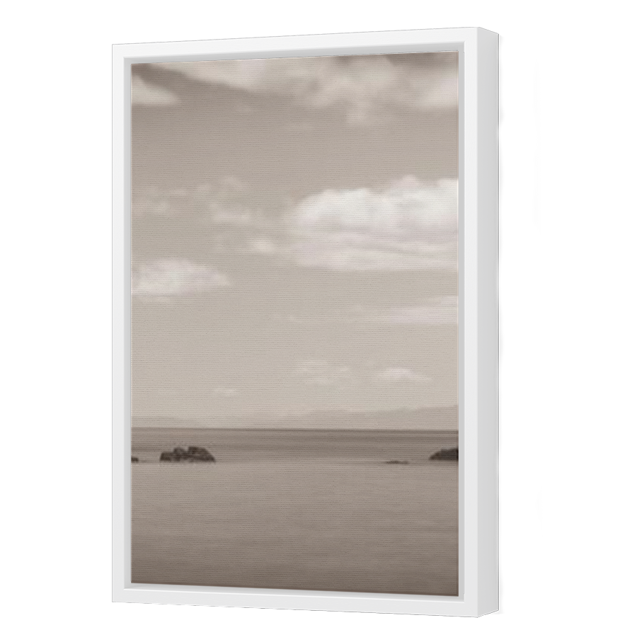 Thumbnail for Canvas - White Floating Frame