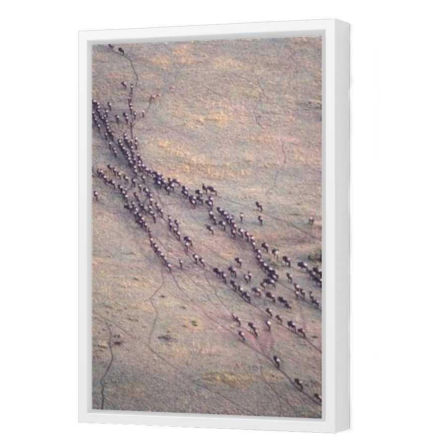 Thumbnail for Canvas - White Floating Frame