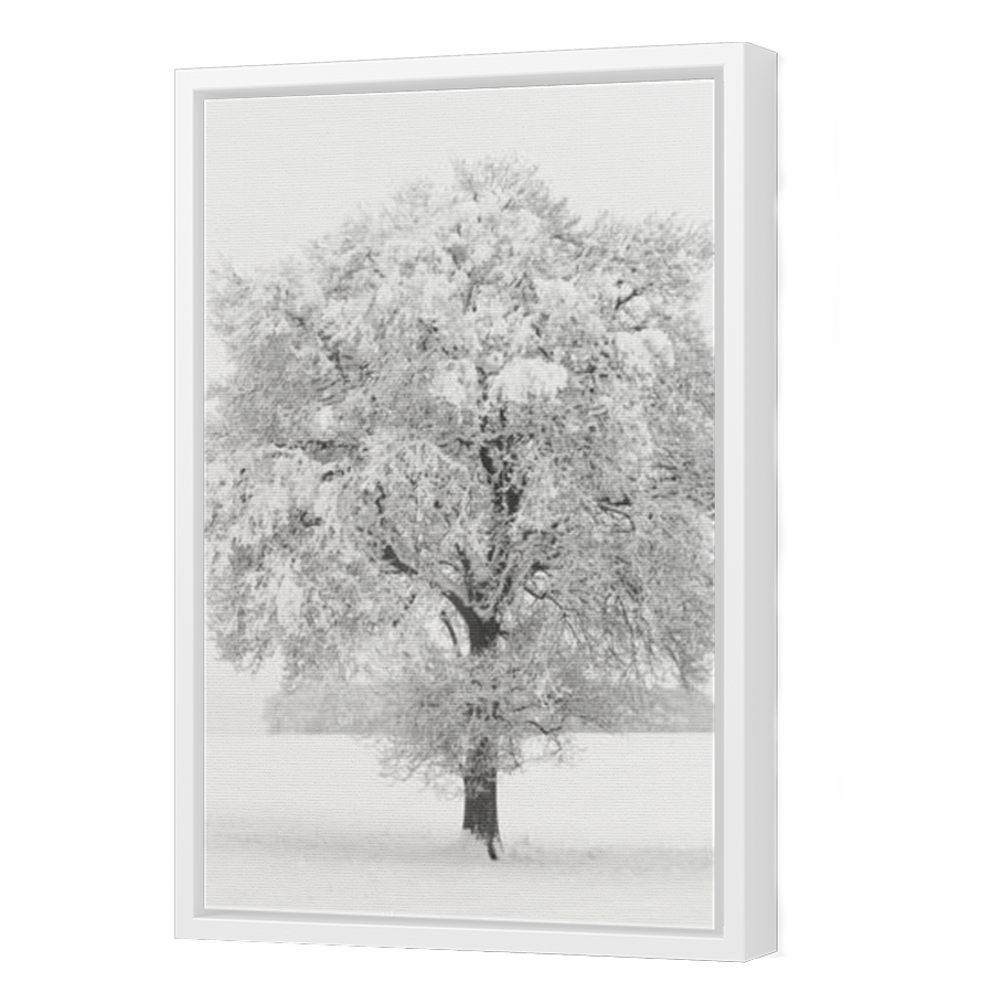 Thumbnail for Canvas - White Floating Frame