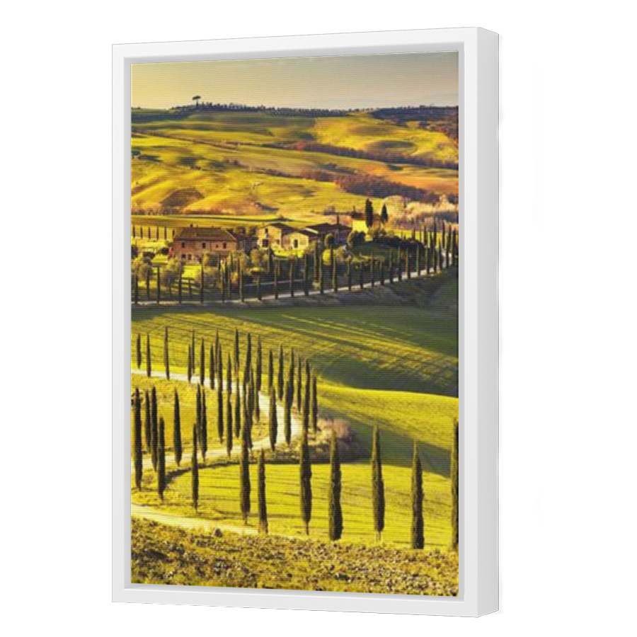 Thumbnail for Canvas - White Floating Frame