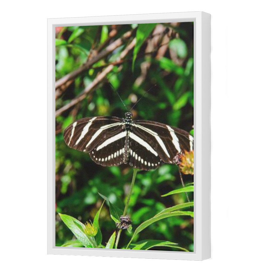 Thumbnail for Canvas - White Floating Frame