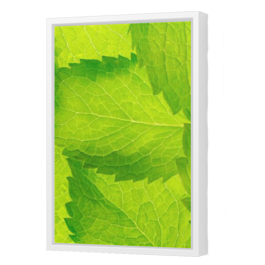 Thumbnail for Canvas - White Floating Frame