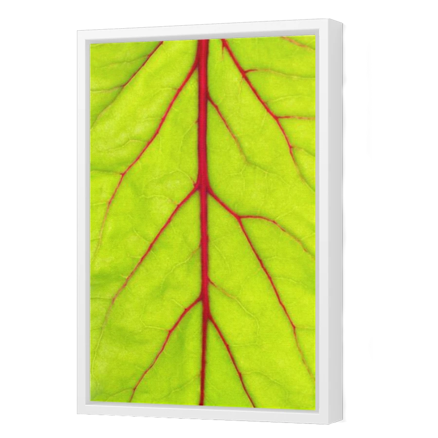 Thumbnail for Canvas - White Floating Frame