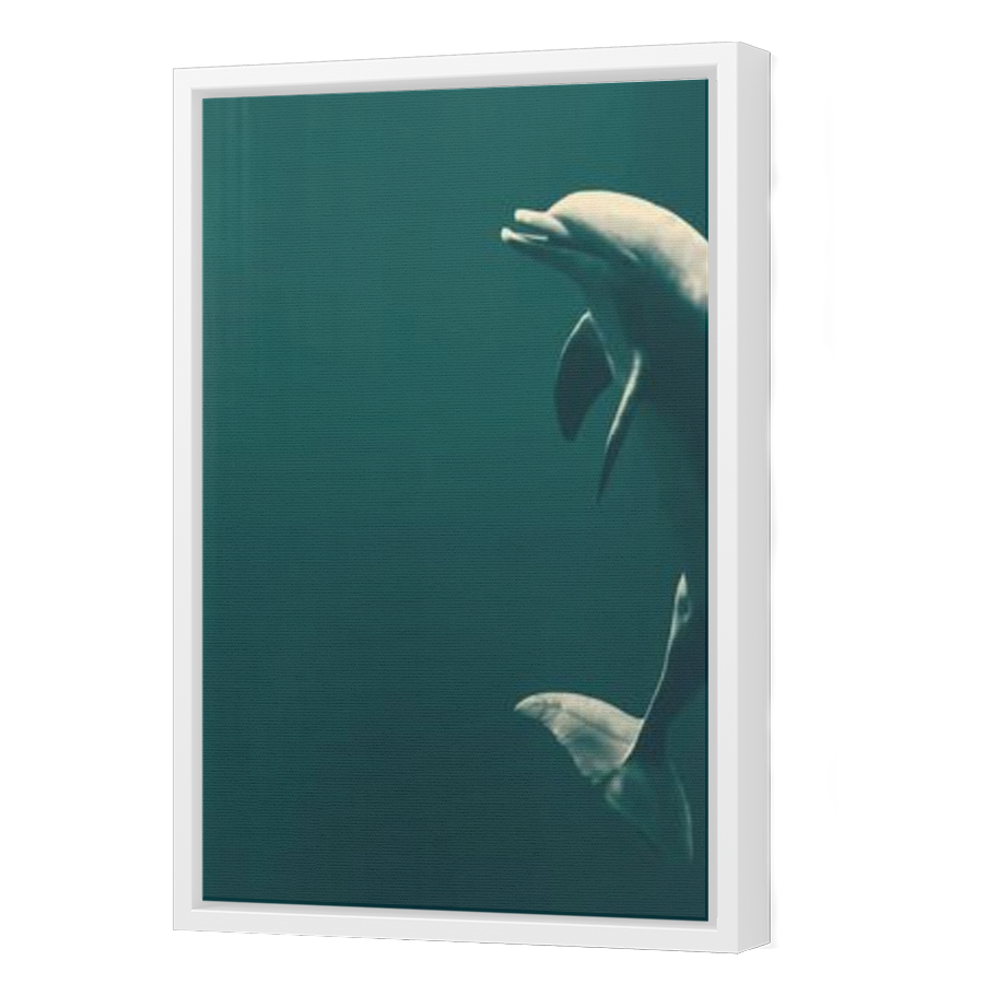 Thumbnail for Canvas - White Floating Frame