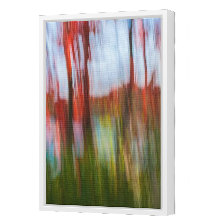 Thumbnail for Canvas - White Floating Frame