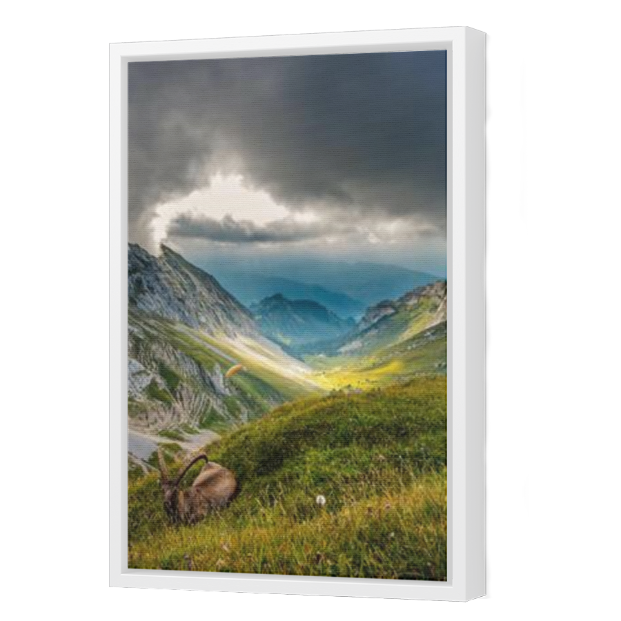 Thumbnail for Canvas - White Floating Frame