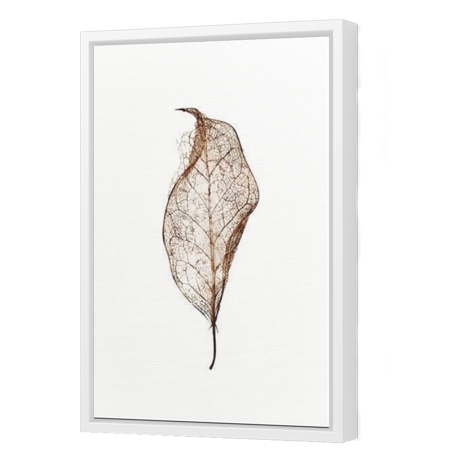Thumbnail for Canvas - White Floating Frame