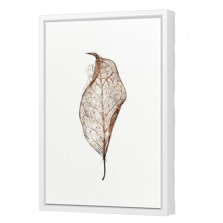 Thumbnail for Canvas - White Floating Frame