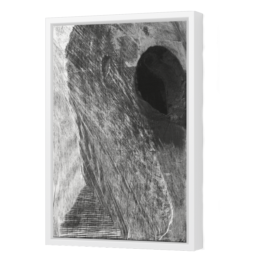 Thumbnail for Canvas - White Floating Frame