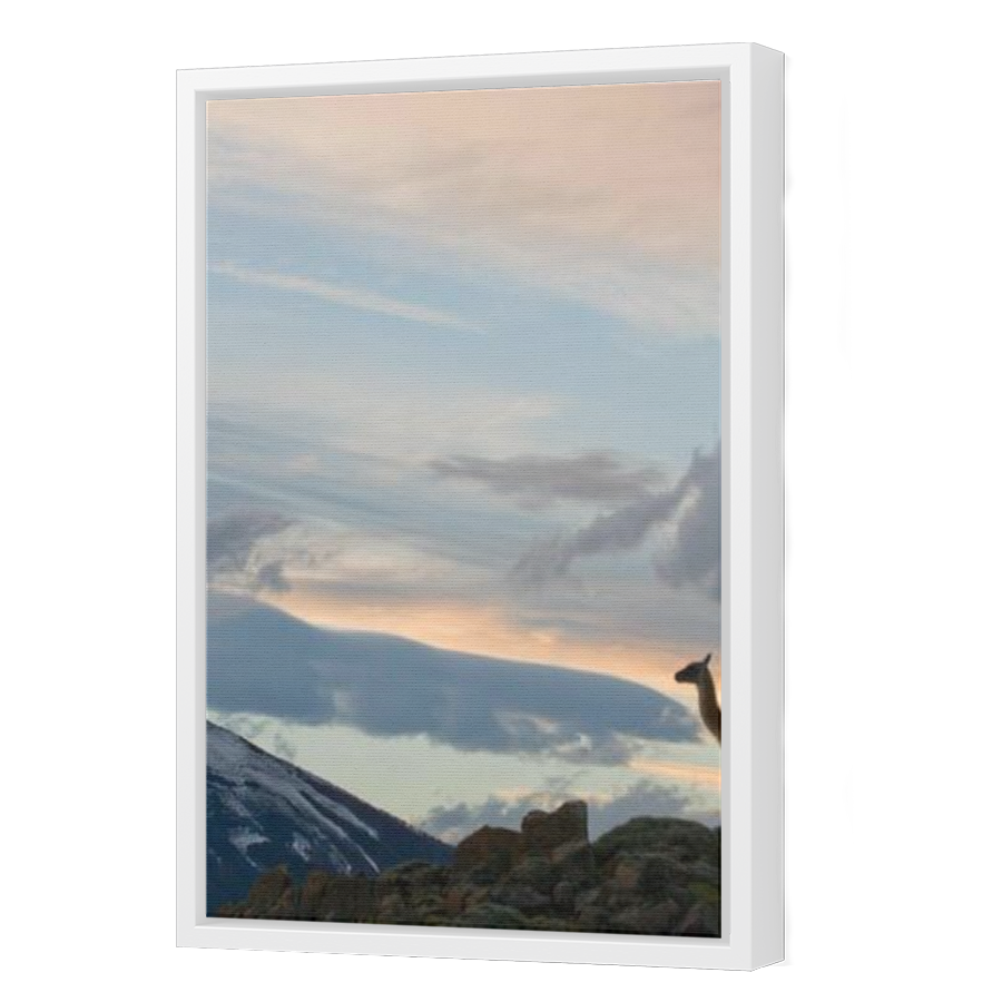 Thumbnail for Canvas - White Floating Frame