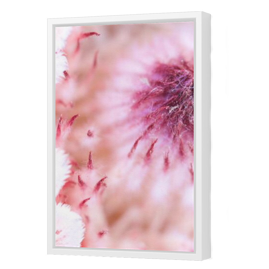 Thumbnail for Canvas - White Floating Frame