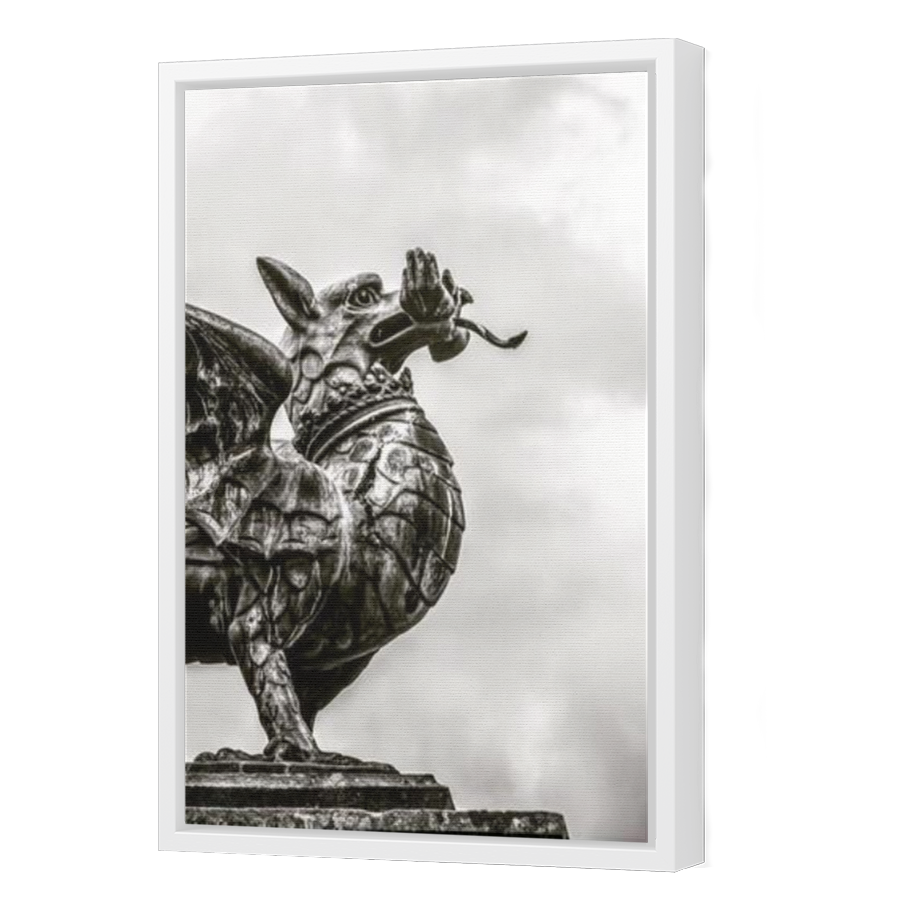 Thumbnail for Canvas - White Floating Frame